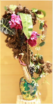 �~�̓A�����W�����g Bonsai tree arrangement