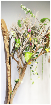 �R���N�̖؂̍�i The cork wood work