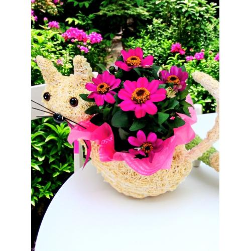 �l�R�����o�X�P�b�g�@2