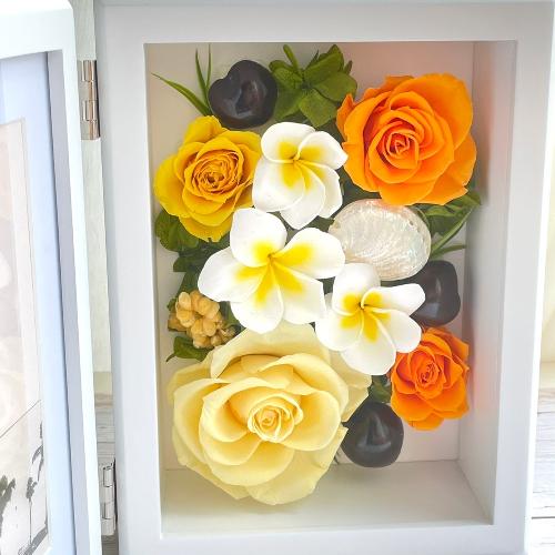 �s���N�n�A�����WM�T�C�Y2