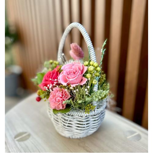 �v���U�[�u�h�t�����[�\���x �G�b�O2
