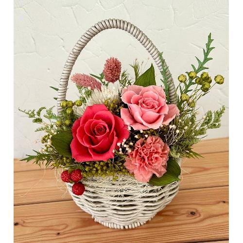 �v���U�[�u�h�t�����[�\���x �G�b�O6