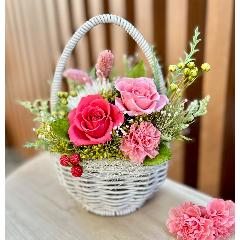 �v���U�[�u�h�t�����[�\���x �G�b�O