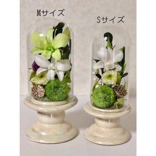 �K���X�h�[���v���U�[�u�h�t�����[���ԁ@�c�d�~M�@������݉�6