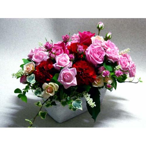 �o�����X�v��-�o�����A�����W����M��4