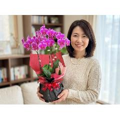 �~�j�Ӓ����x���x�b�g�n�R�{��������