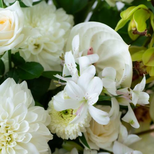 �y������݁E�������z�v���ɂ��܂��� ���؃A�����W�����g�u���オ��v6