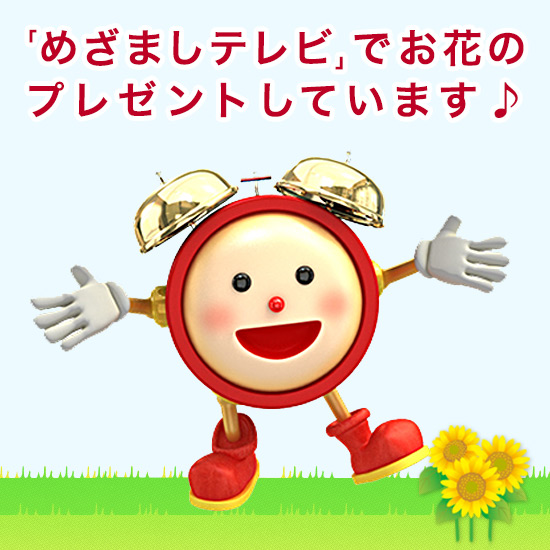 �t�W�e���r�u�߂��܂��e���r�v�ł��Љ������